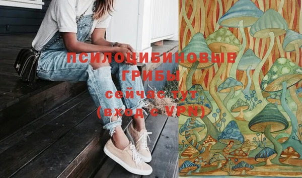 Альфа ПВП Балахна