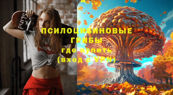 трава Покачи